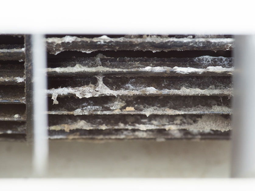 Mold in Your HVAC System: Causes, Signs and Prevention » Cafco