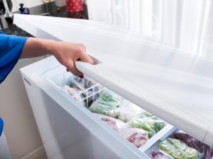 How To Choose the Best Chest Freezer for Your Business